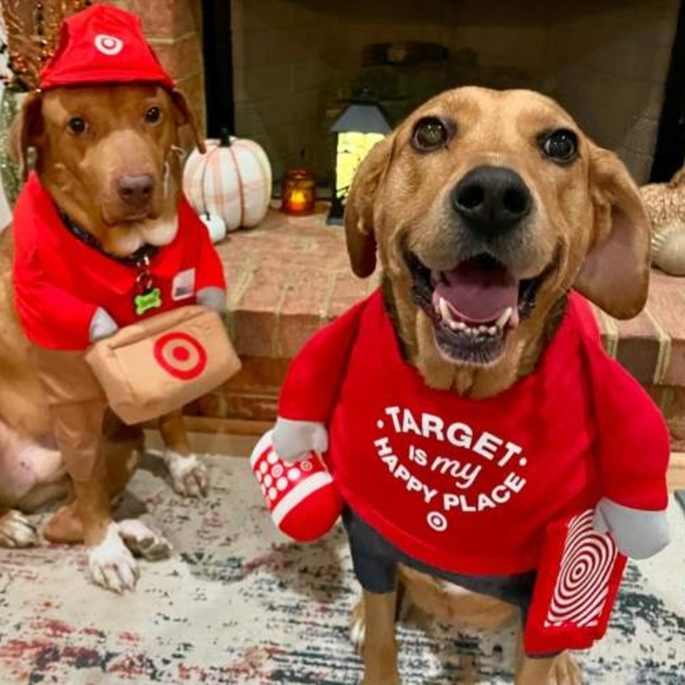 NWT Target Shopper Dog Cat Halloween Costume Bag Removable Squeaky Toy Cup Large